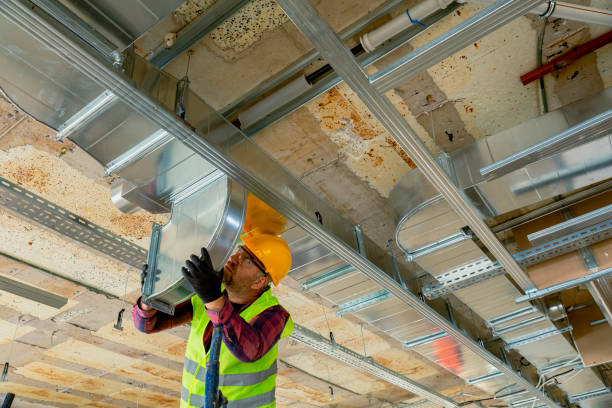 Best Local HVAC Companies  in Mascotte, FL