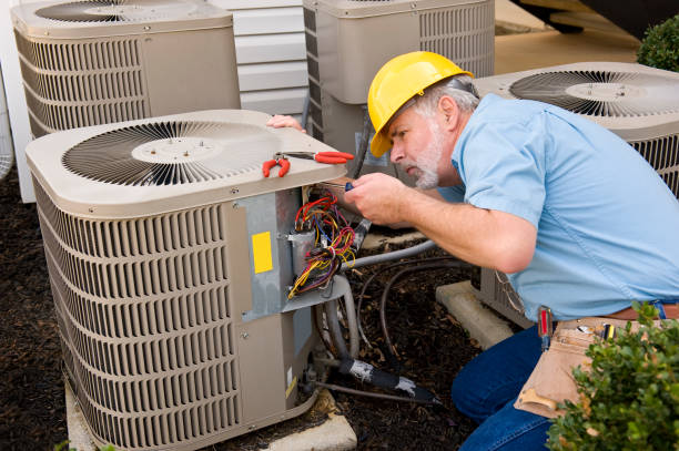 Best Local HVAC Companies  in Mascotte, FL